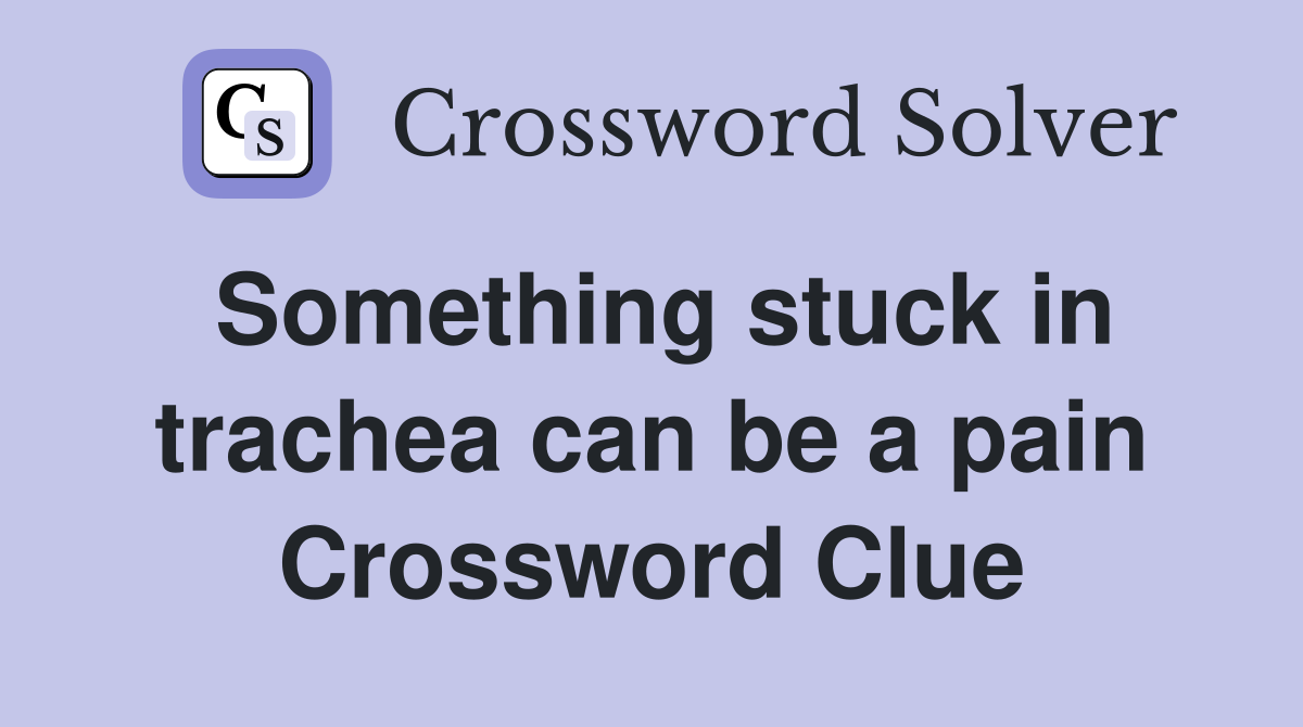Something stuck in trachea can be a pain Crossword Clue