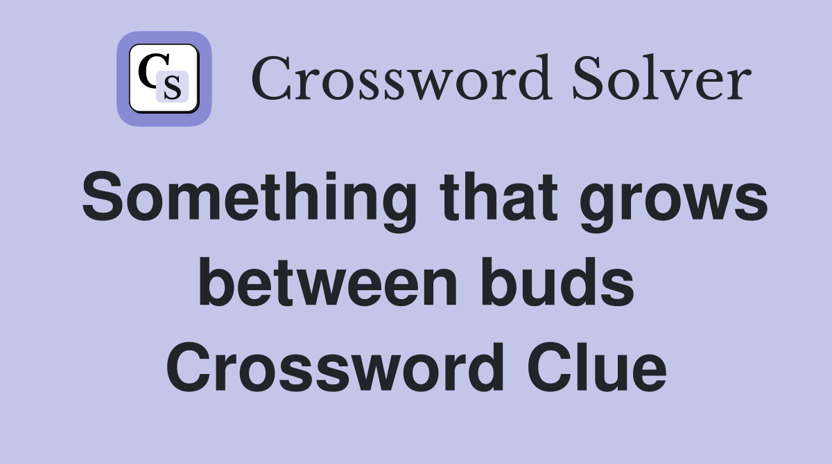 Something that grows between buds Crossword Clue
