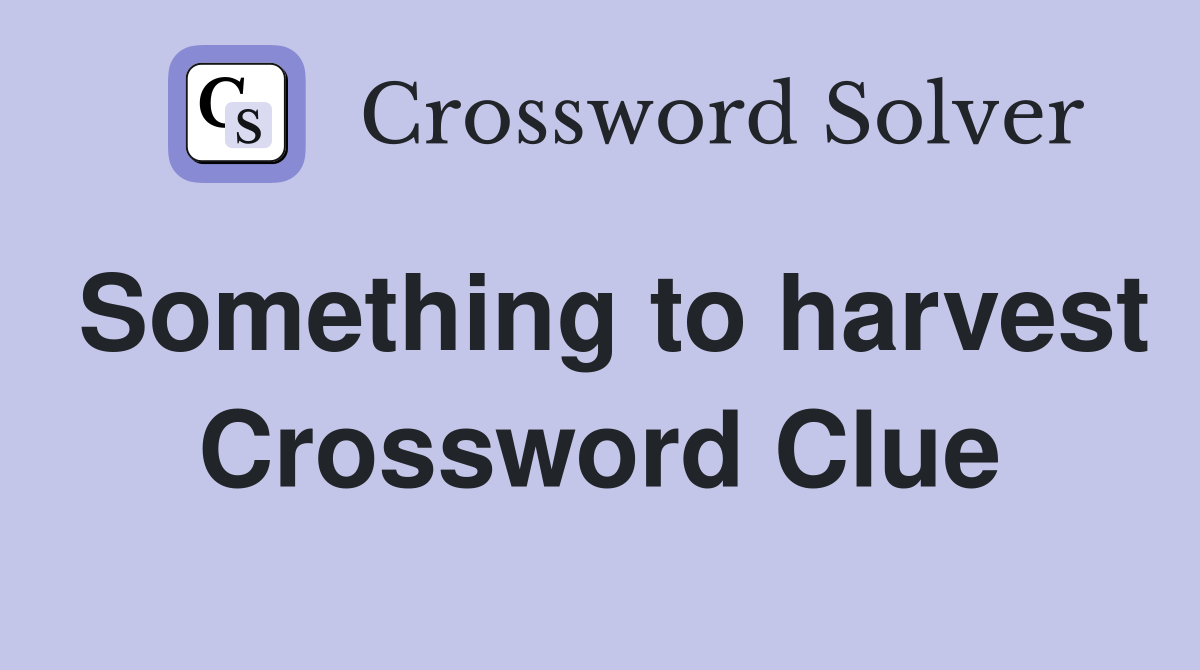 Something to harvest Crossword Clue