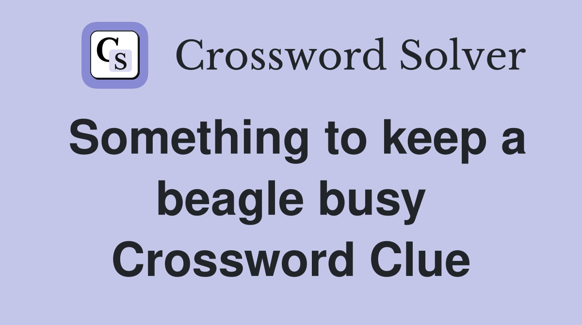 Something to keep a beagle busy Crossword Clue