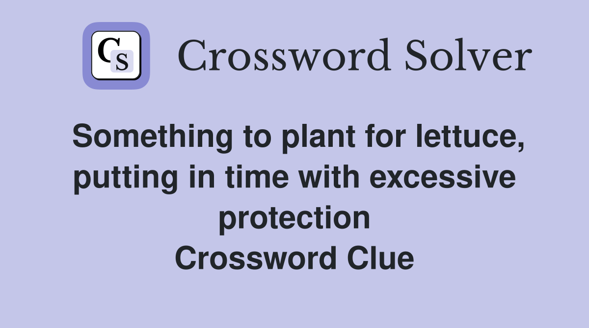 Something to plant for lettuce, putting in time with excessive protection Crossword Clue