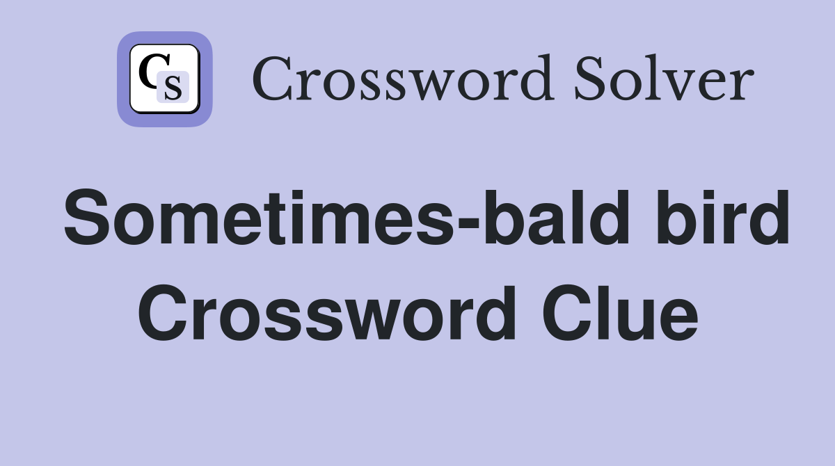 Sometimes-bald bird Crossword Clue