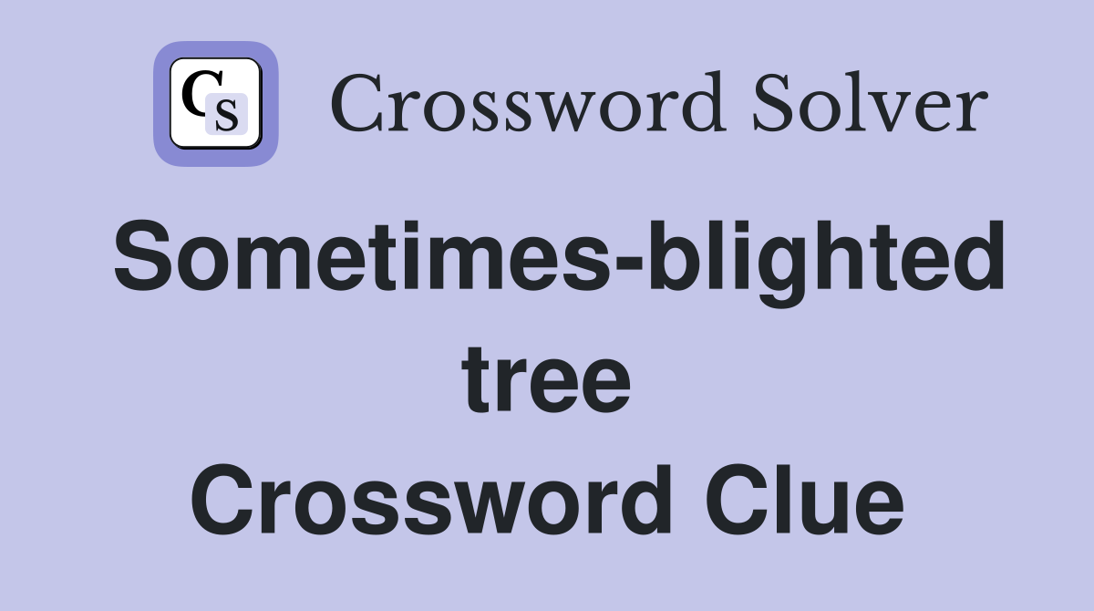 Sometimes-blighted tree Crossword Clue
