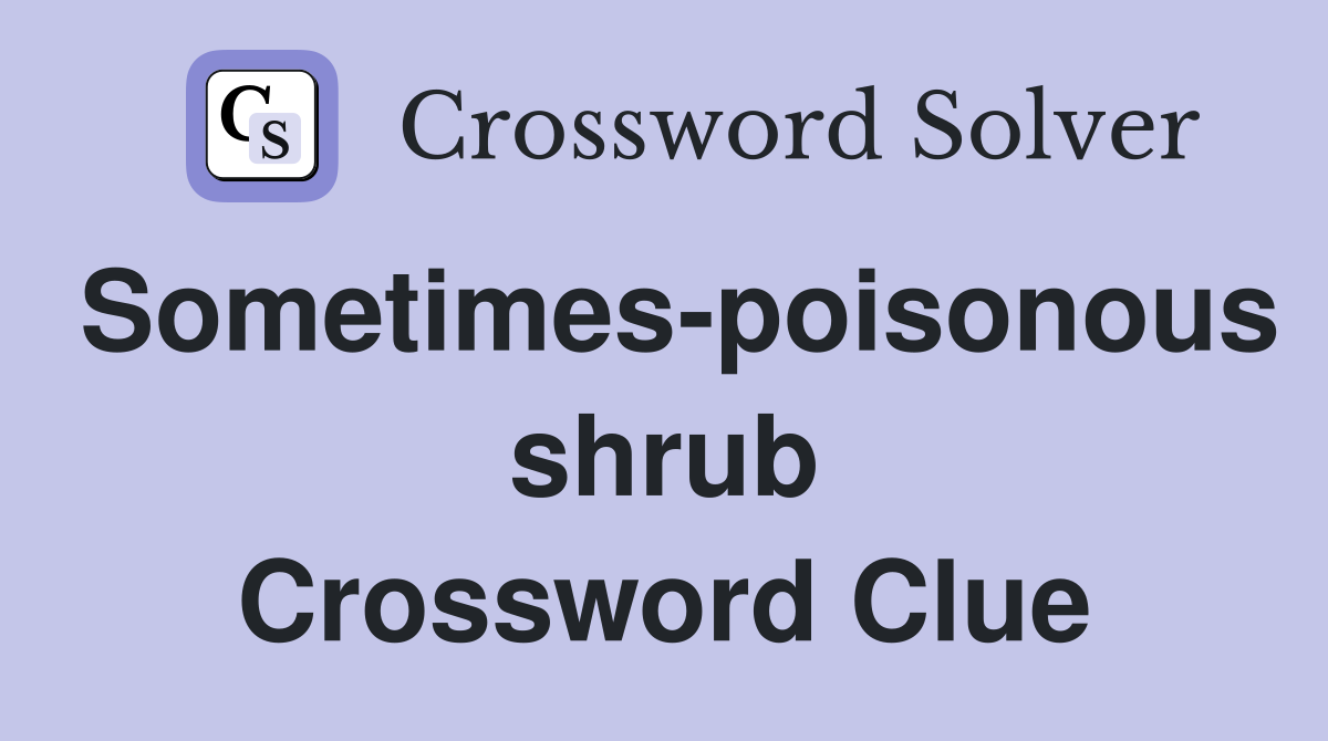 Sometimes-poisonous shrub Crossword Clue