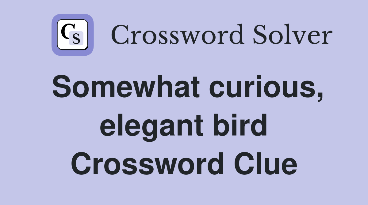 Somewhat curious, elegant bird Crossword Clue