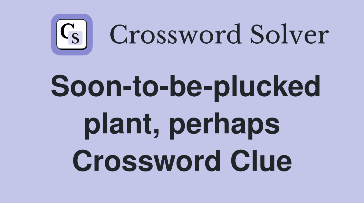 Soon-to-be-plucked plant, perhaps Crossword Clue