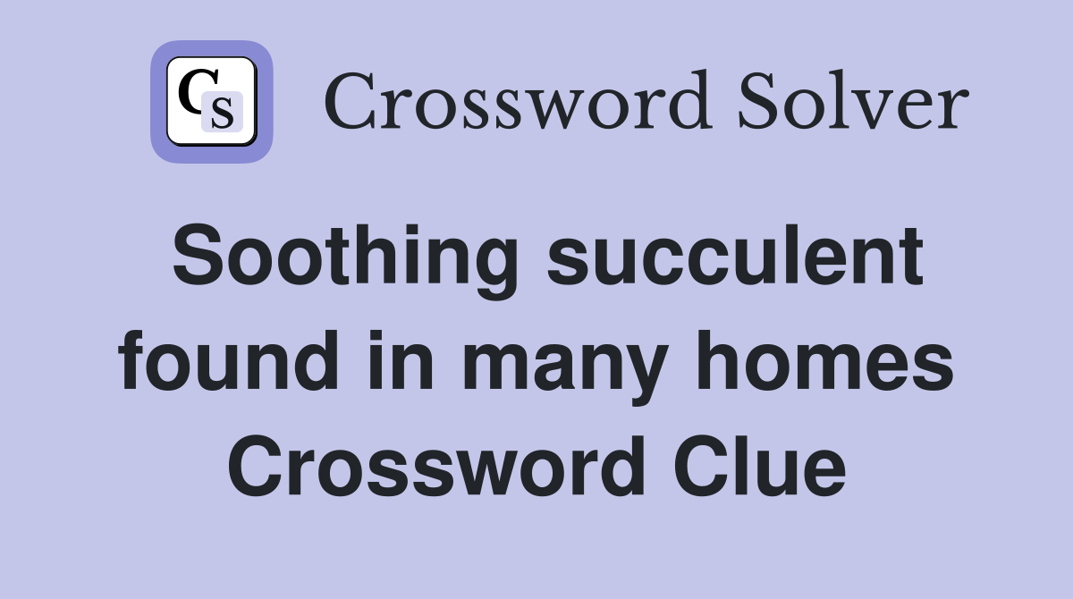 Soothing succulent found in many homes Crossword Clue
