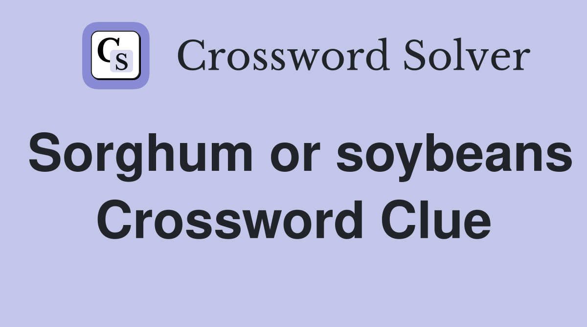 Sorghum or soybeans Crossword Clue