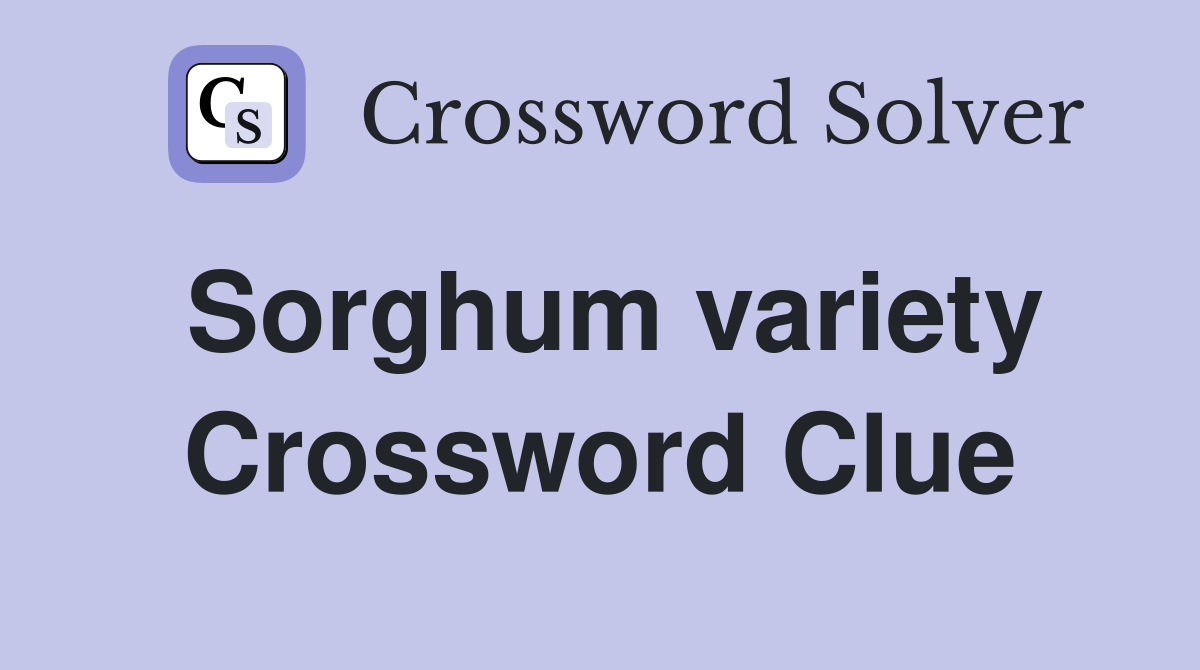 Sorghum variety Crossword Clue