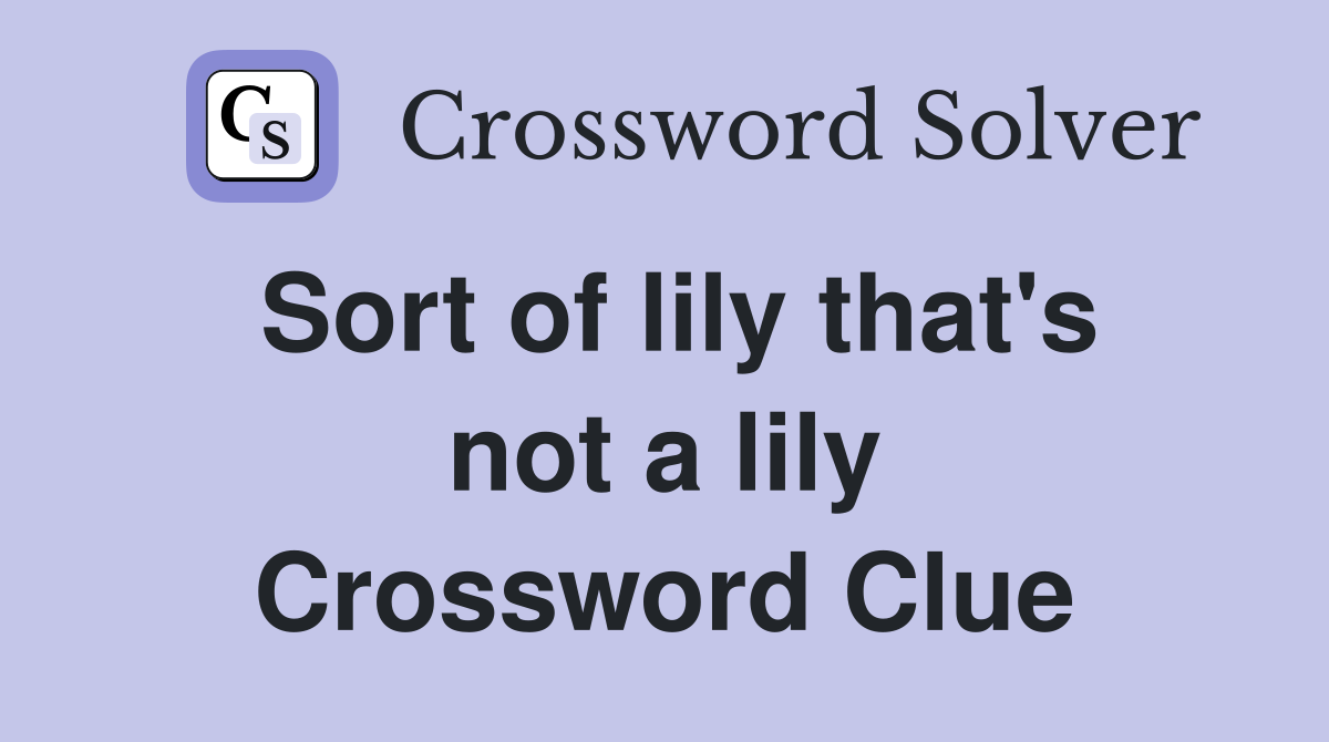 Sort of lily that's not a lily Crossword Clue