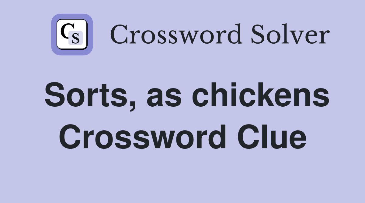Sorts, as chickens Crossword Clue