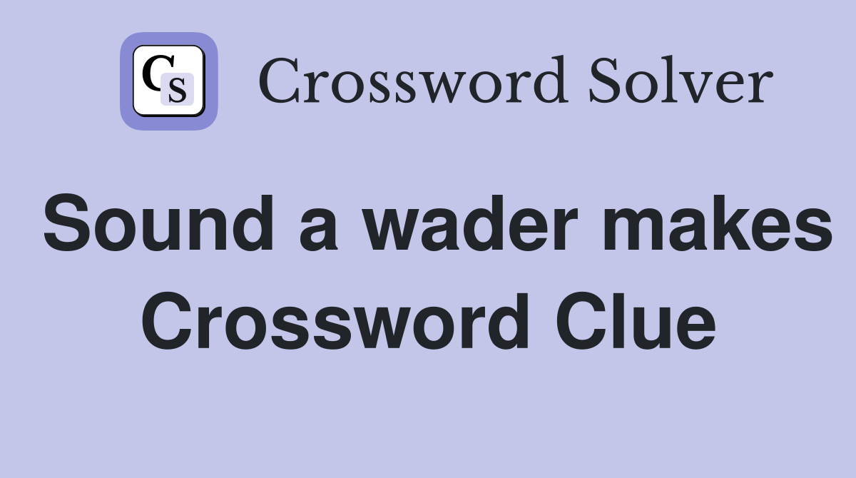 Sound a wader makes Crossword Clue
