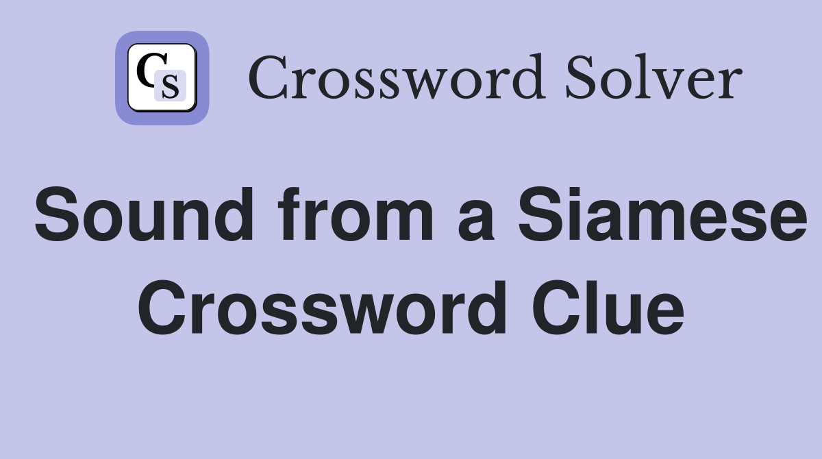 Sound from a Siamese Crossword Clue