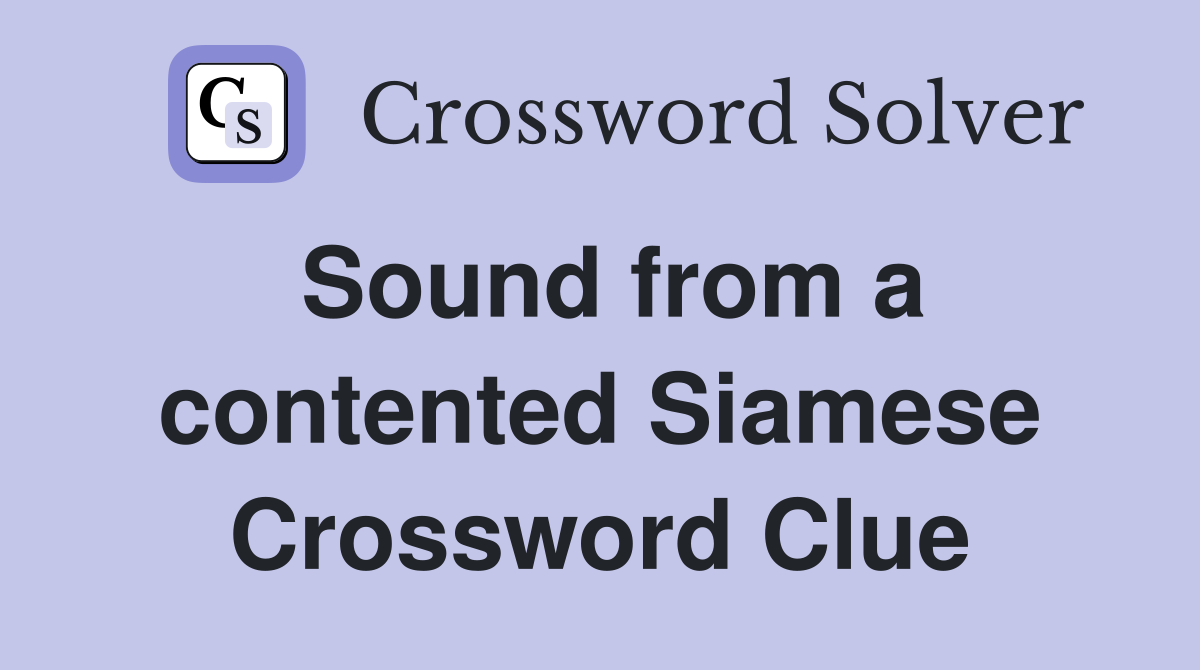 Sound from a contented Siamese Crossword Clue