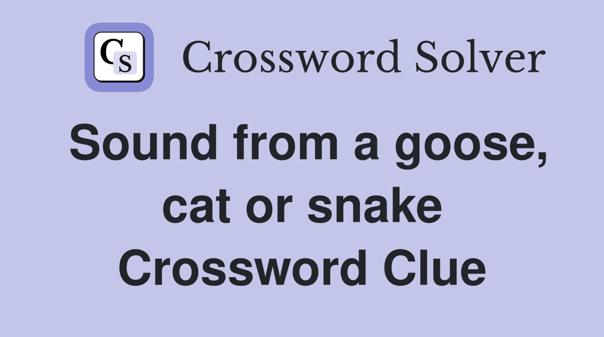 Sound from a goose, cat or snake Crossword Clue