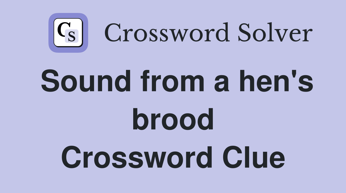 Sound from a hen's brood Crossword Clue