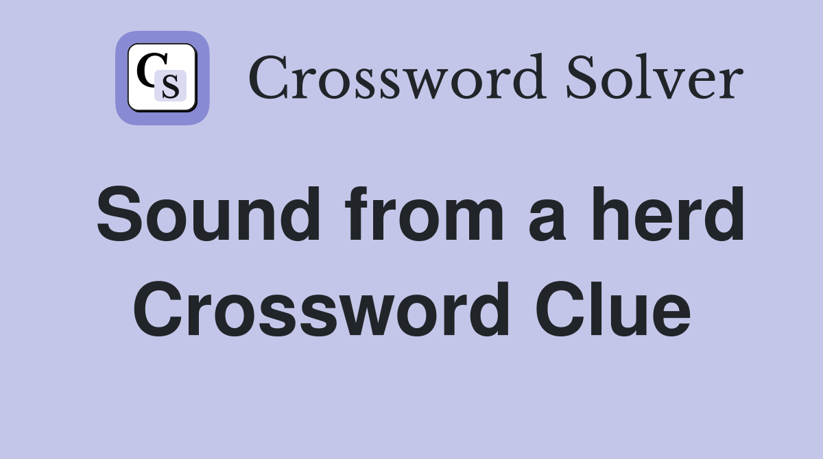 Sound from a herd Crossword Clue