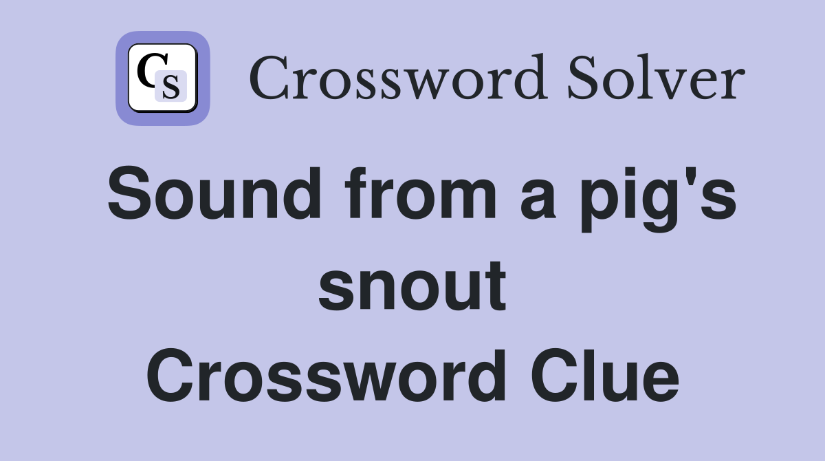Sound from a pig's snout Crossword Clue
