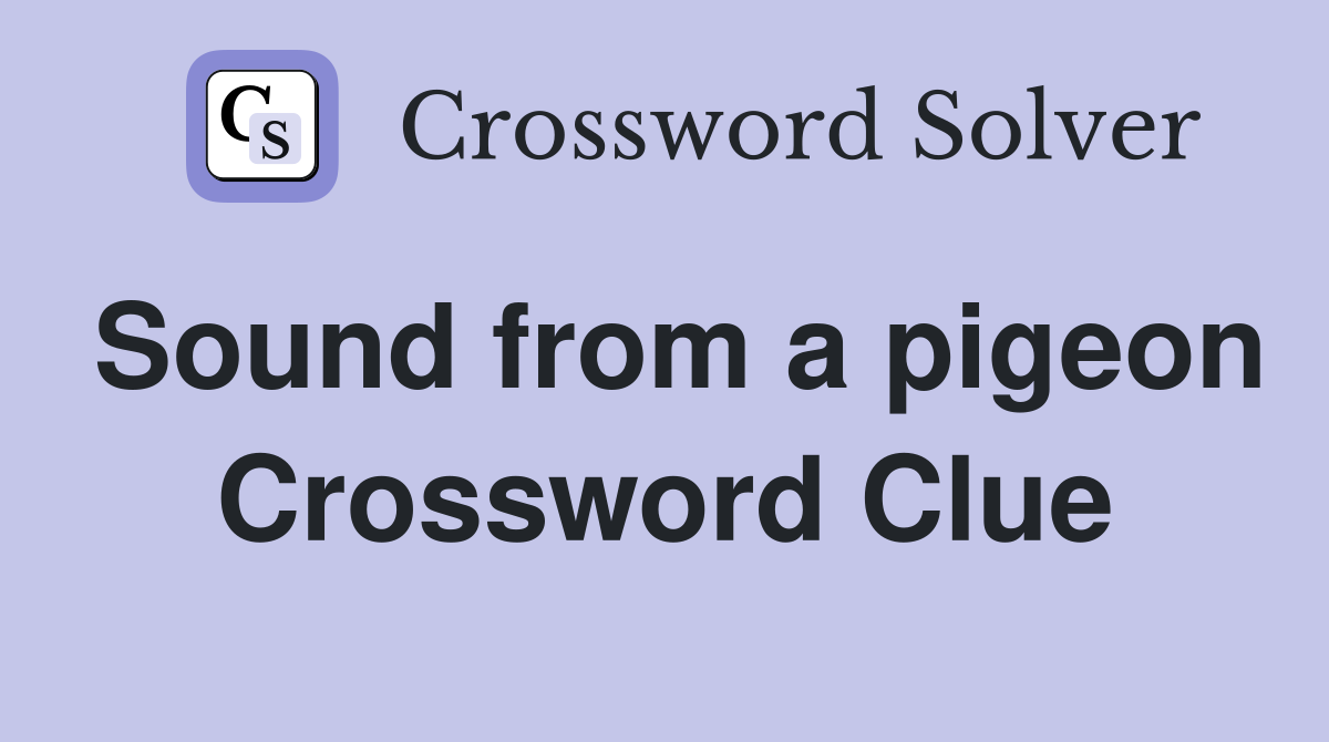Sound from a pigeon Crossword Clue