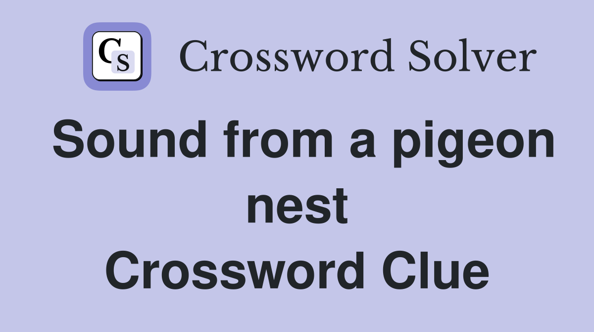 Sound from a pigeon nest Crossword Clue