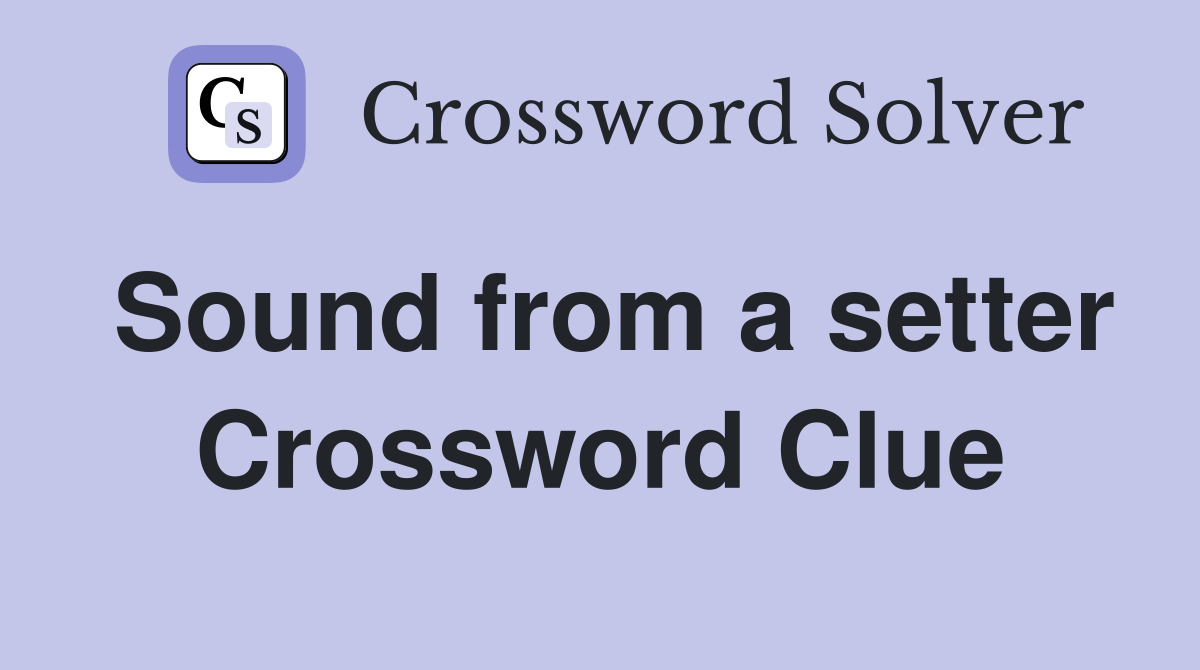 Sound from a setter Crossword Clue