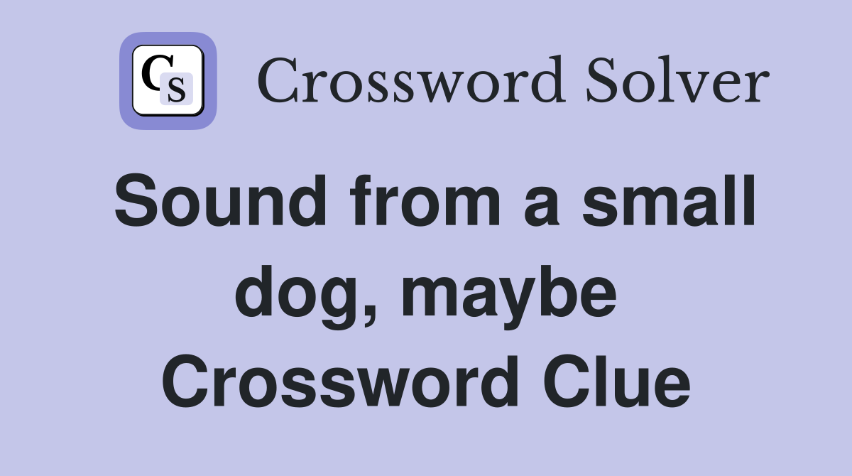 Sound from a small dog, maybe Crossword Clue