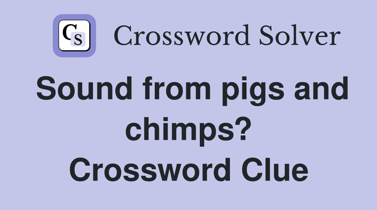 Sound from pigs and chimps? Crossword Clue