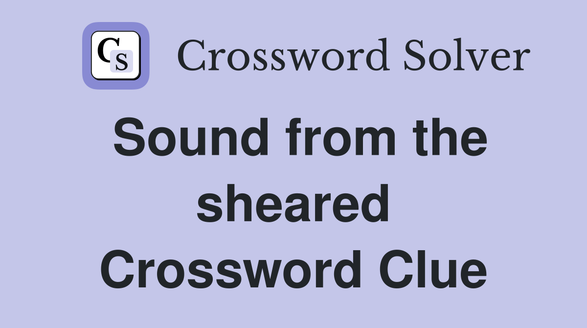 Sound from the sheared Crossword Clue