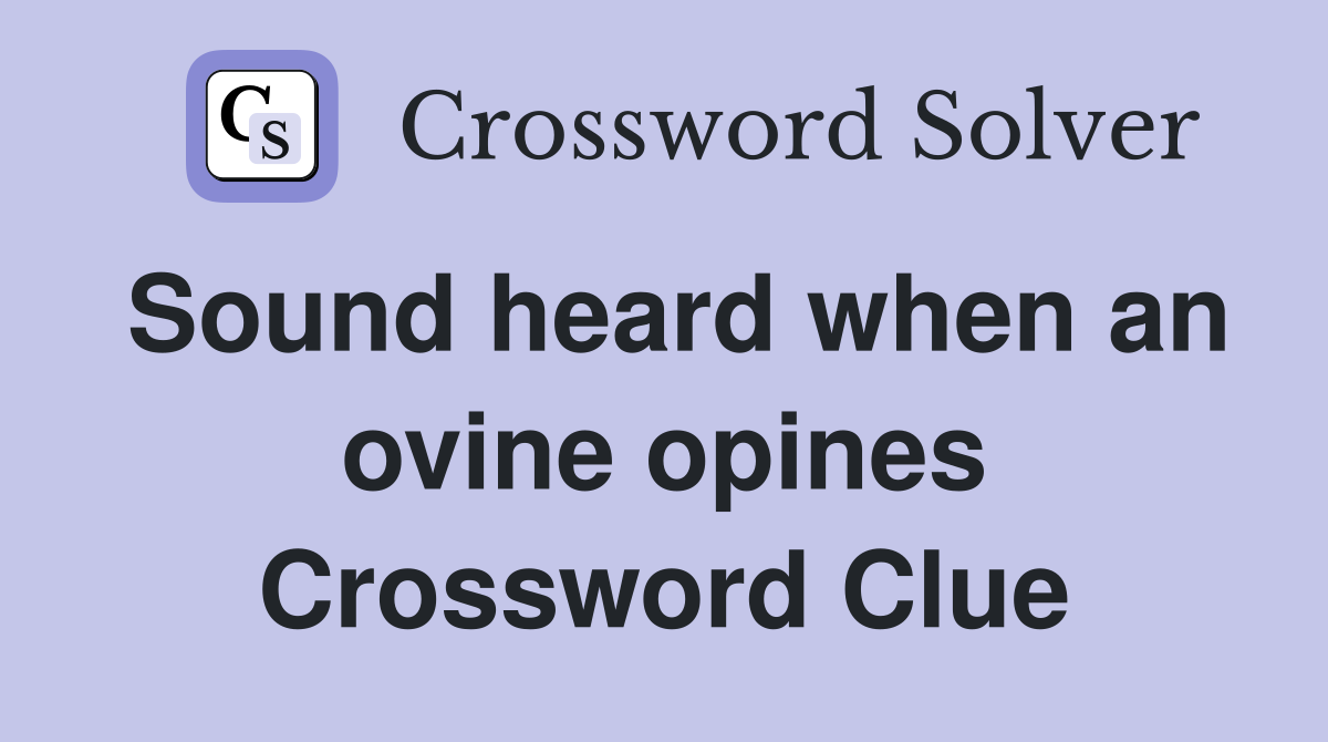 Sound heard when an ovine opines Crossword Clue