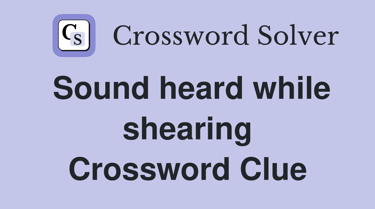 Sound heard while shearing Crossword Clue