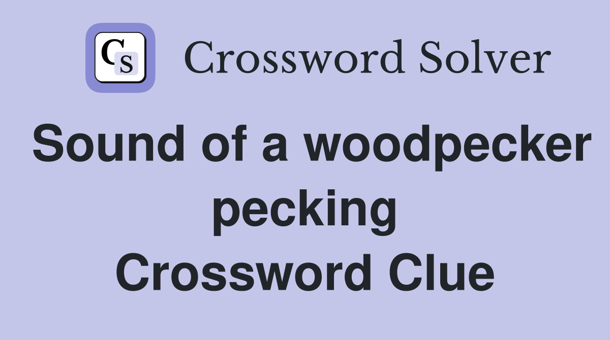 Sound of a woodpecker pecking Crossword Clue