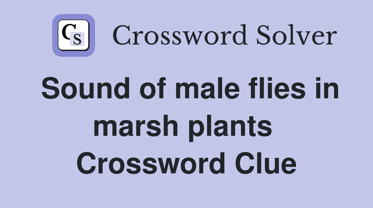 Sound of male flies in marsh plants  Crossword Clue