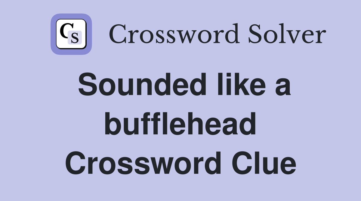 Sounded like a bufflehead Crossword Clue