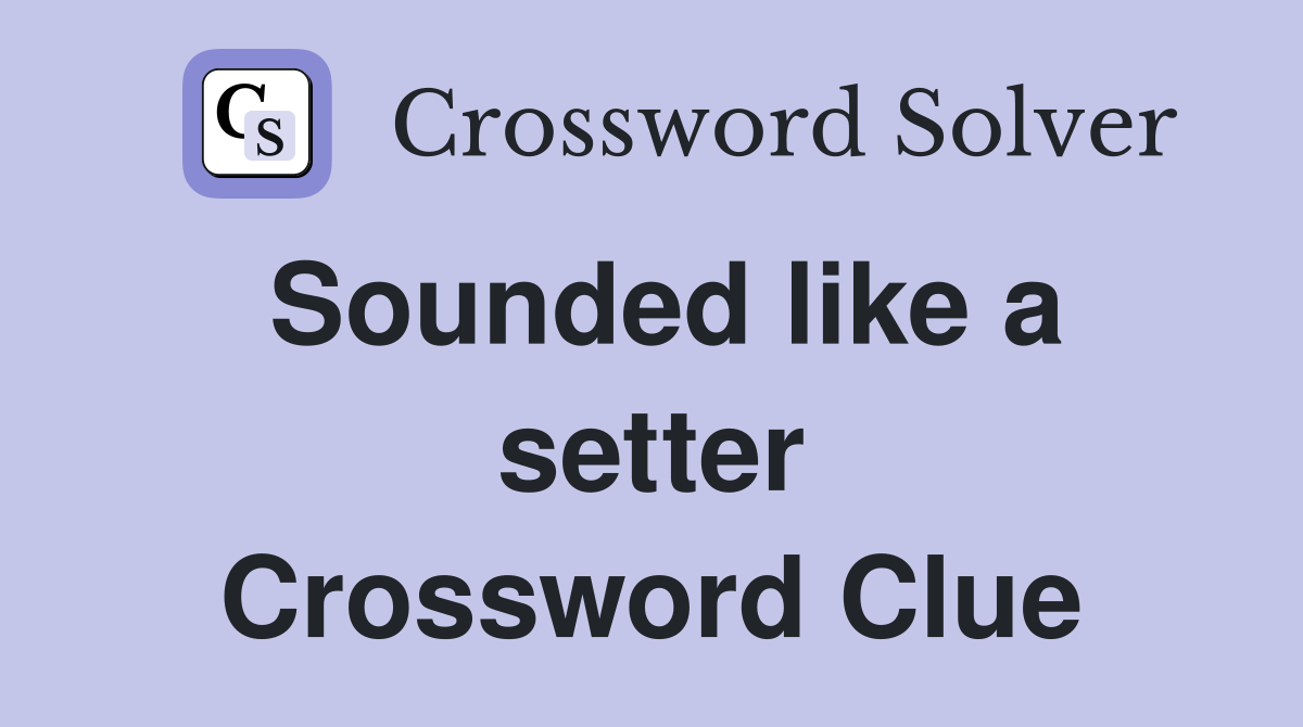 Sounded like a setter Crossword Clue