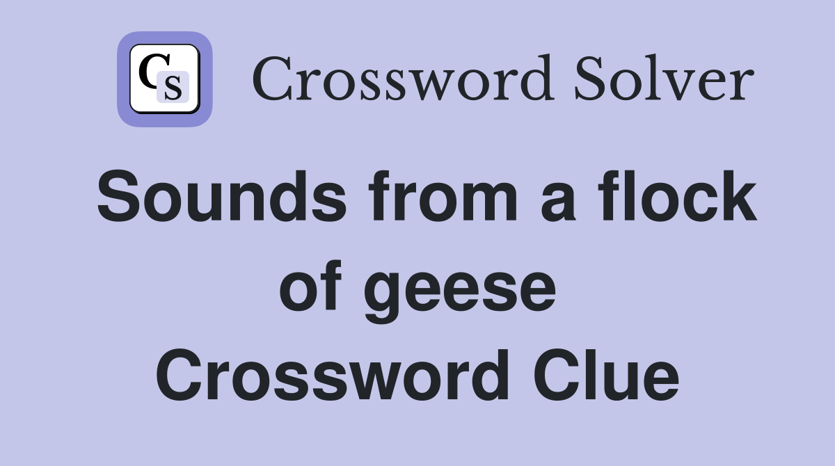 Sounds from a flock of geese Crossword Clue