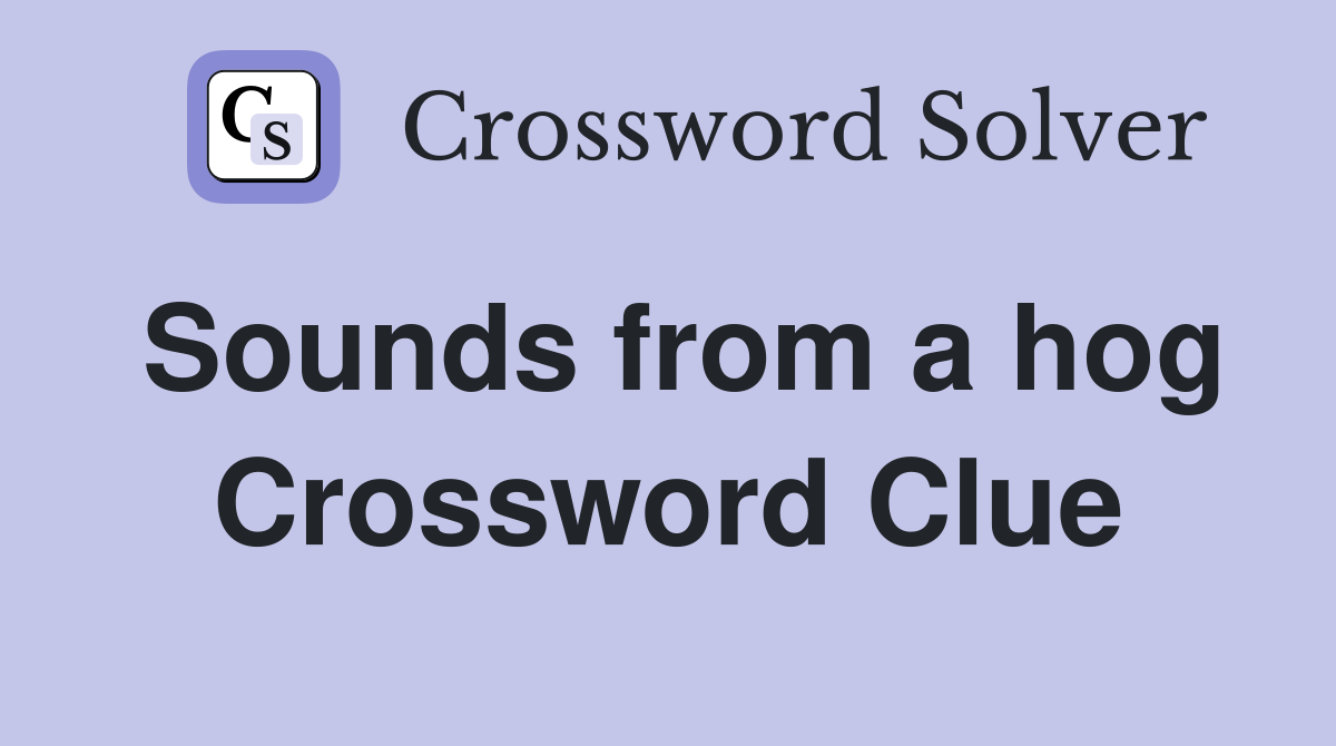 Sounds from a hog Crossword Clue