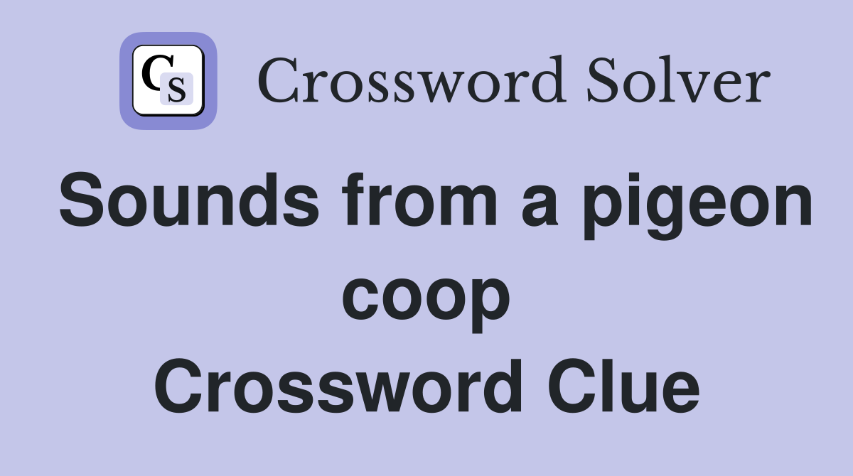 Sounds from a pigeon coop Crossword Clue
