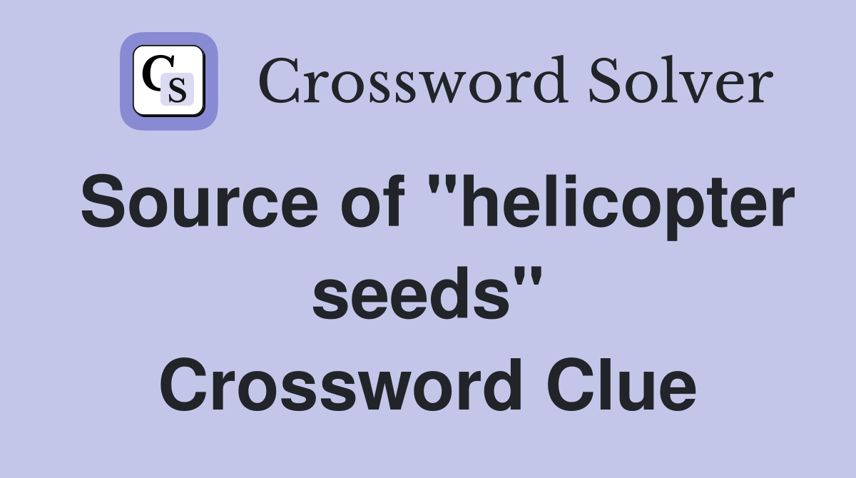 Source of "helicopter seeds" Crossword Clue