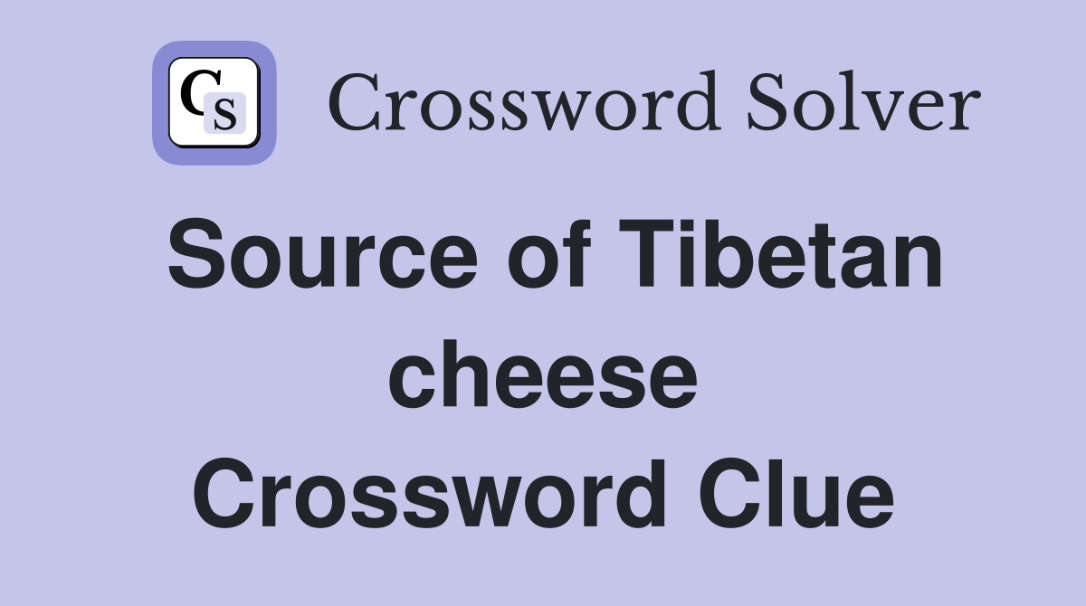 Source of Tibetan cheese Crossword Clue