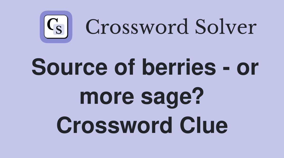 Source of berries - or more sage? Crossword Clue