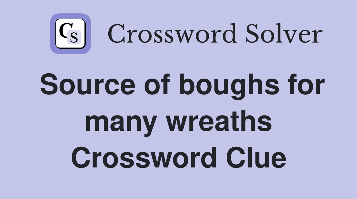 Source of boughs for many wreaths Crossword Clue