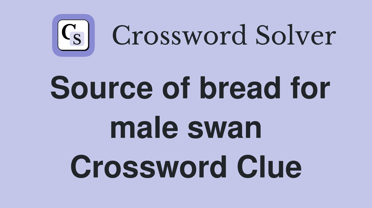 Source of bread for male swan Crossword Clue