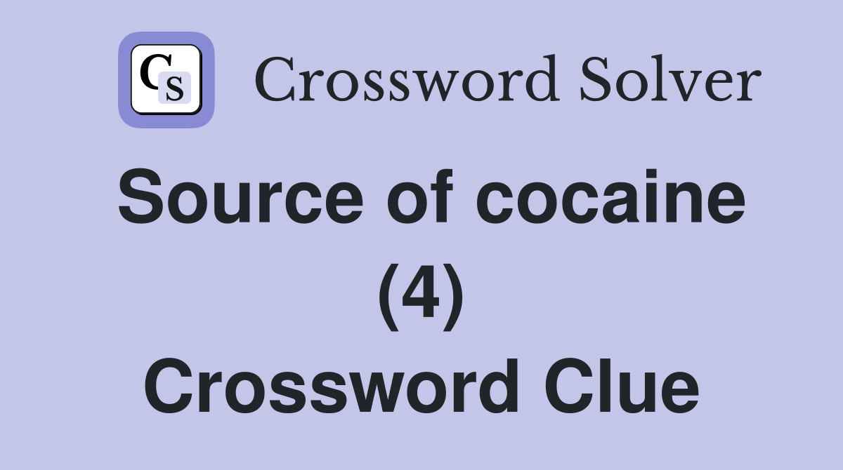 Source of cocaine (4) Crossword Clue