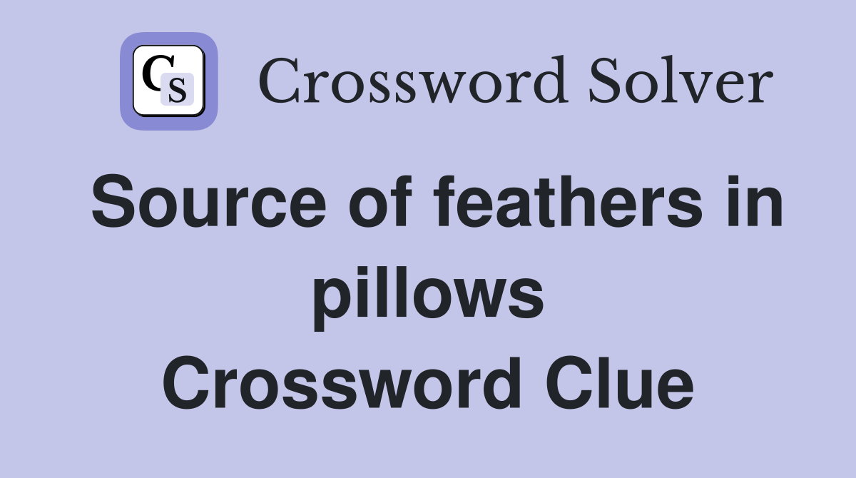 Source of feathers in pillows Crossword Clue