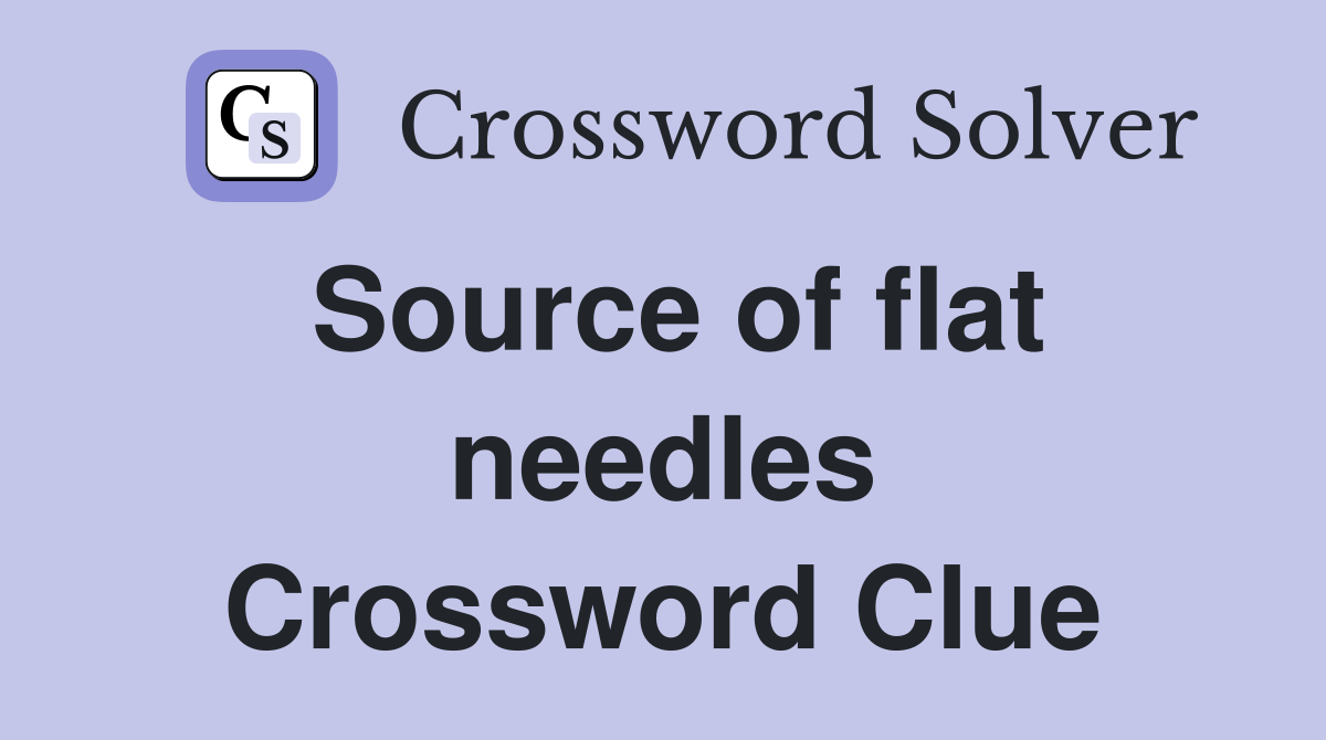 Source of flat needles Crossword Clue