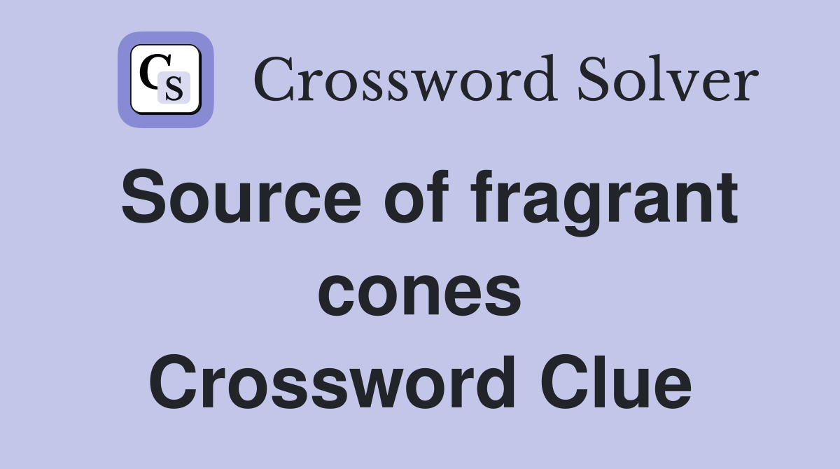 Source of fragrant cones Crossword Clue