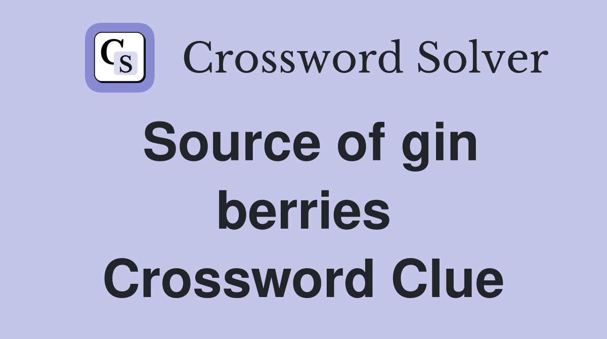 Source of gin berries Crossword Clue