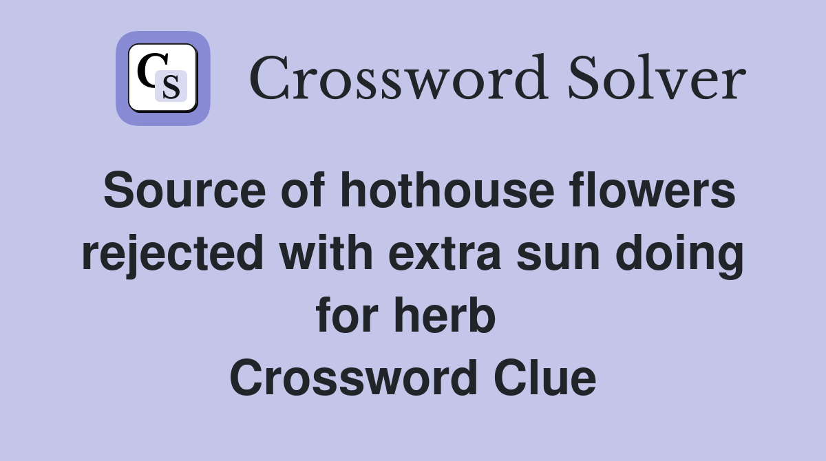 Source of hothouse flowers rejected with extra sun doing for herb  Crossword Clue