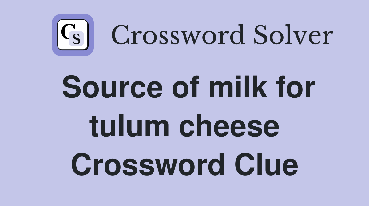Source of milk for tulum cheese Crossword Clue
