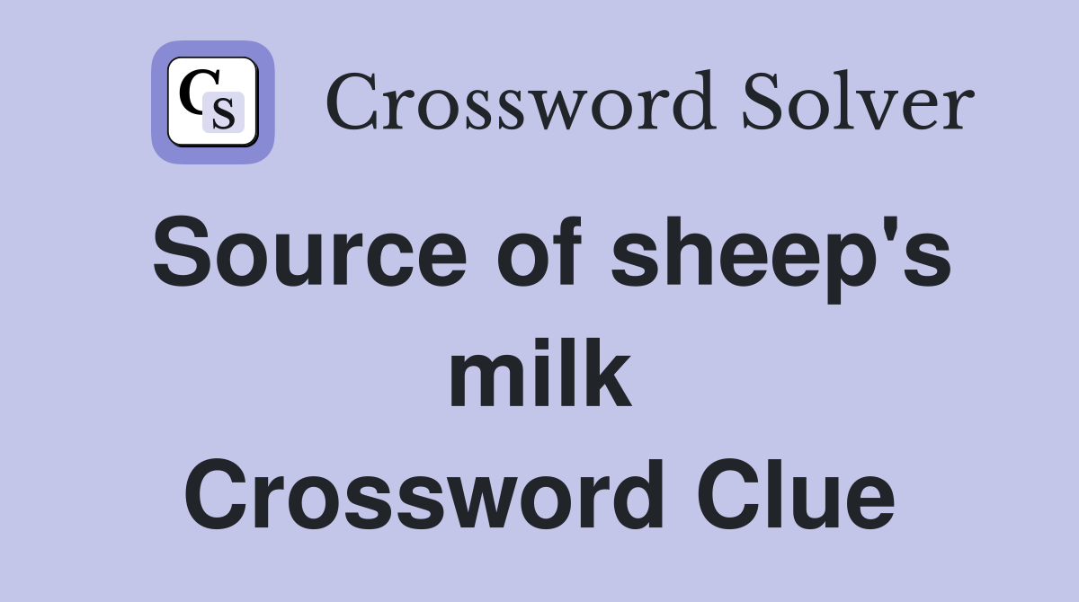 Source of sheep's milk Crossword Clue